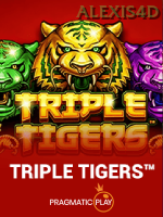 Triple Tigers icon